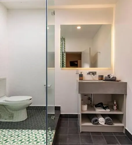 Lovely Loft Coyoacan Apartamento *